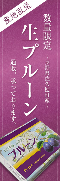 産地直送 数量限定 生プルーン 通販 高見澤プルーン園